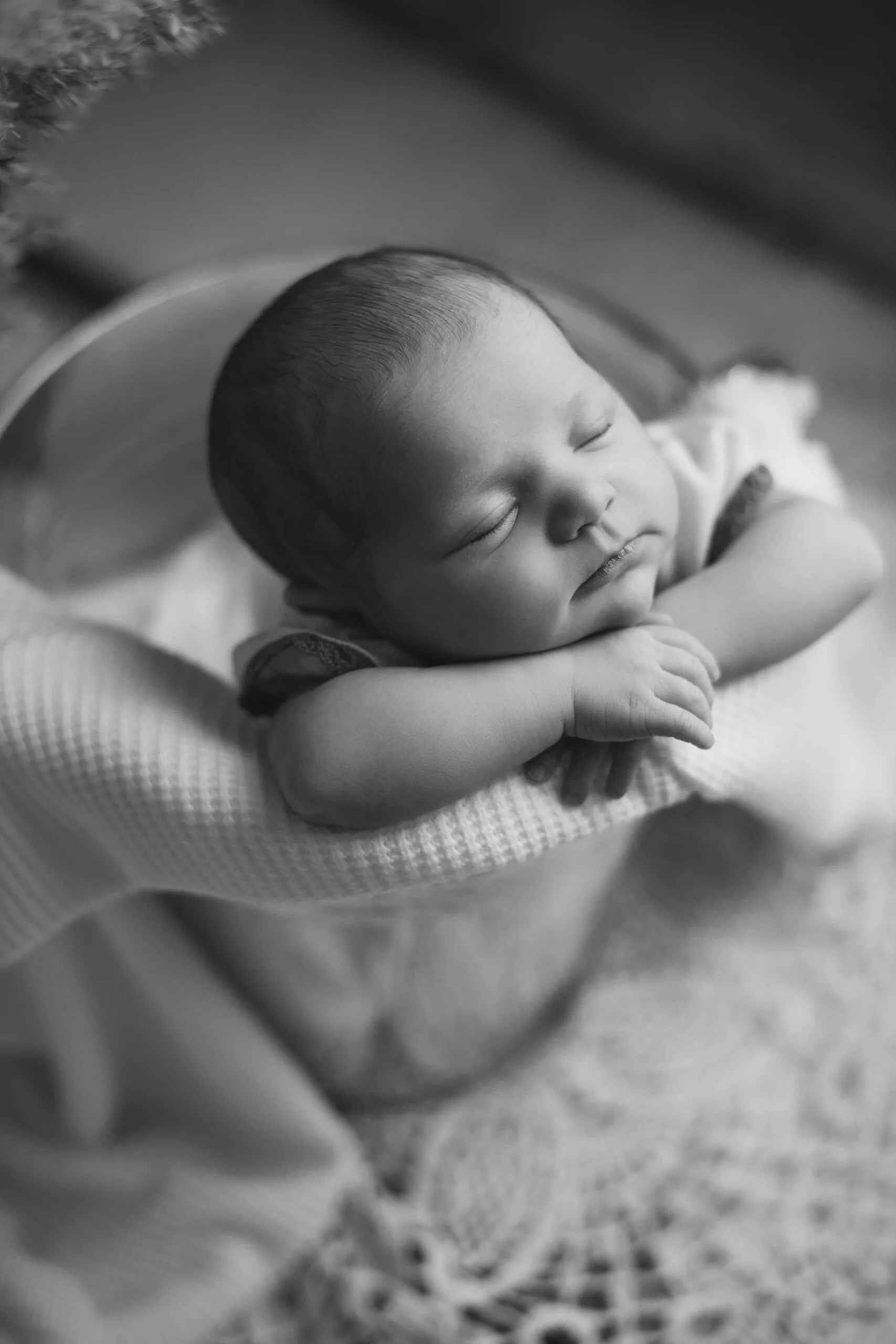 naissance 3